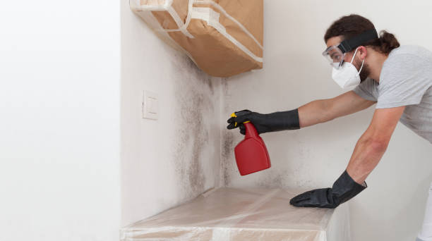 Professional Bathroom Mold Removal technician working in Berthoud, CO